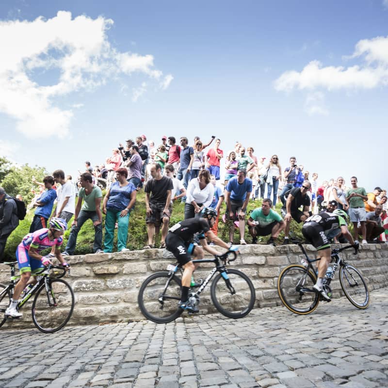 Onder aanmoediging van supporters beklimmen wielrenners een kasseistrook tijdens de Ronde van Vlaanderen.
