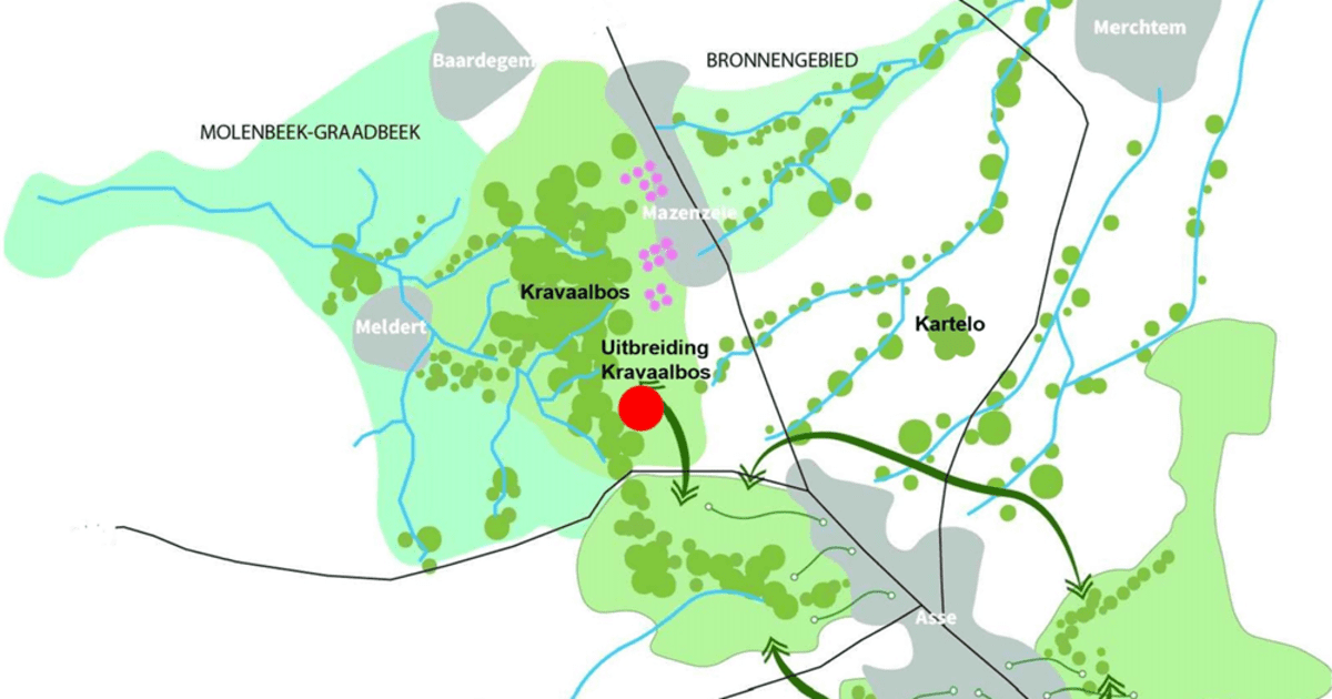 Vlaamse Randfonds Draagt Bij Aan Uitbreiding Kravaalbos In Asse Vlaanderen Be