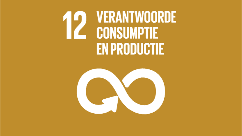 SDG 12: Verantwoorde consumptie en productie