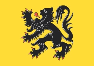 Vlag van de Vlaamse Gemeenschap: zwarte heraldische leeuw met rode klauwen op een gele achtergrond