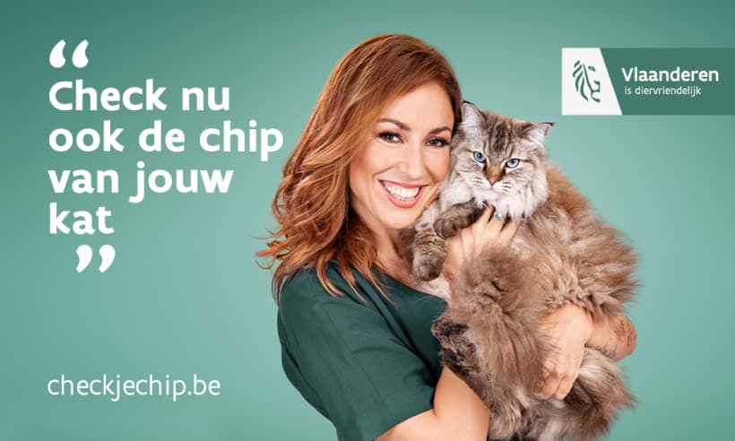 inleveren eenheid Verstikken Check de chip van uw kat of hond | Vlaanderen.be