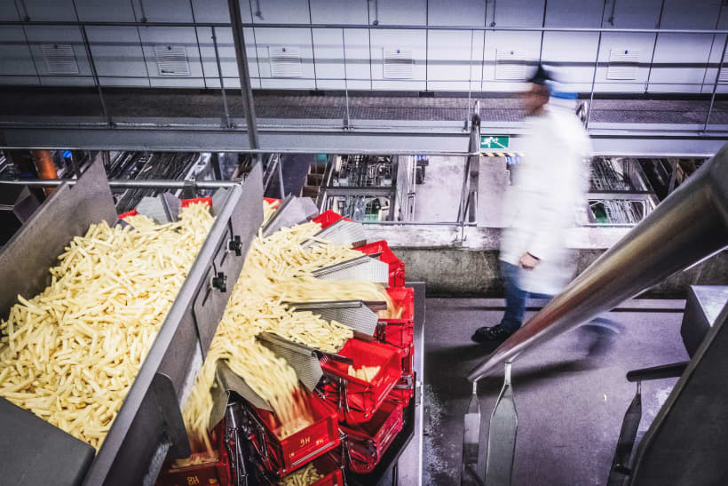 Een zicht in een fabriek waar frietjes worden gemaakt