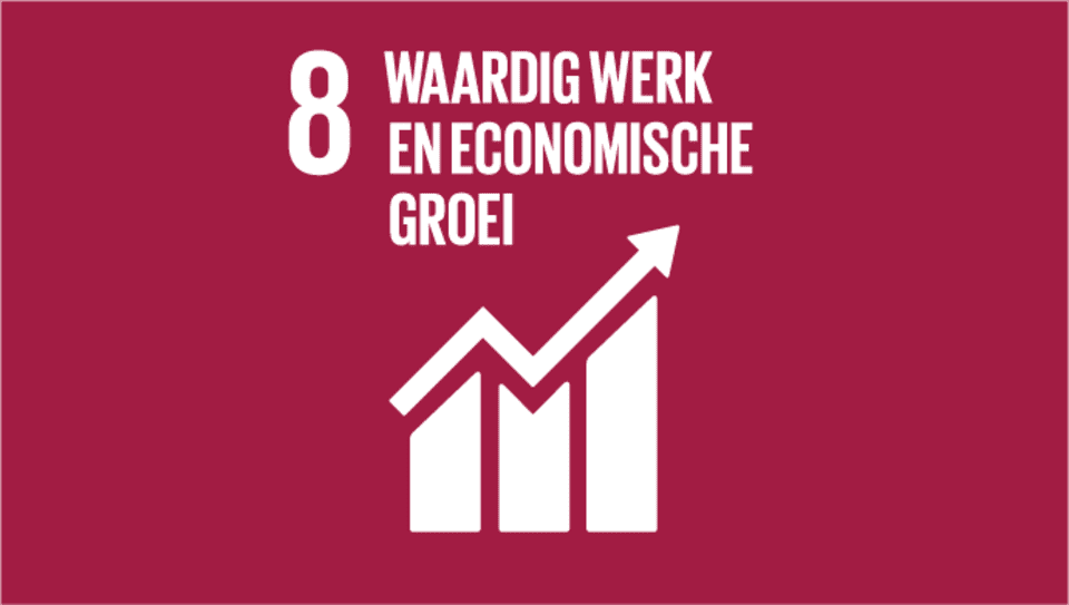 SDG 8: Waardig werk en economische groei