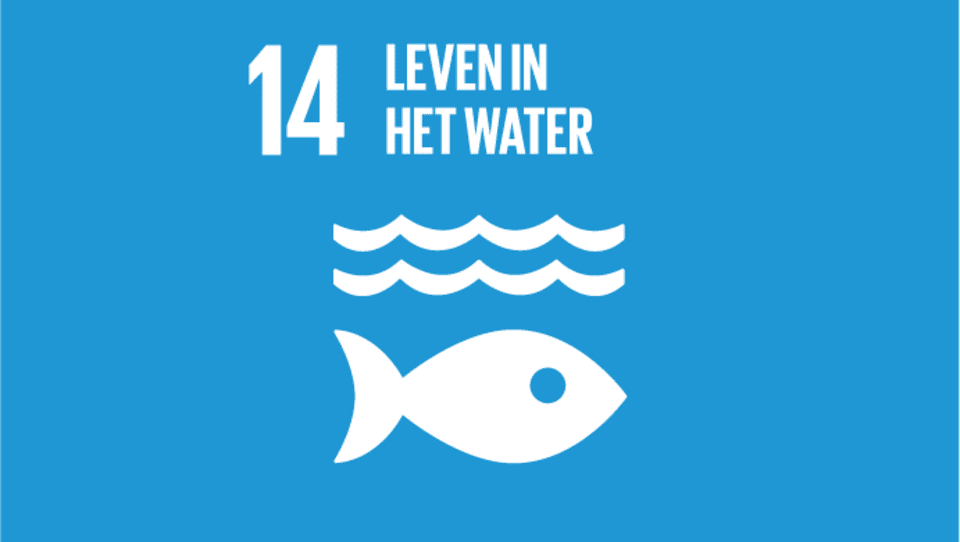 SDG 14: Leven in het water